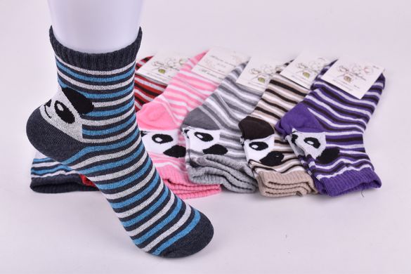 Жіночі Бавовняні шкарпетки "ЖИТОМИР" (OAM1099/17) | 12 пар