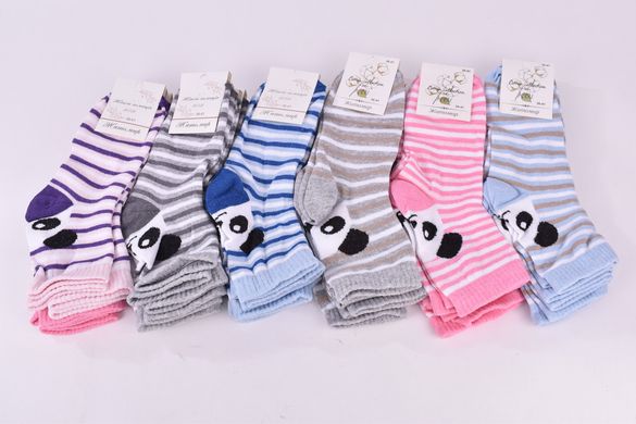 Жіночі Бавовняні шкарпетки "ЖИТОМИР" (OAM1099/17) | 12 пар