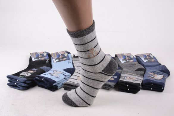 Дитячі шкарпетки Шерсть АНГОРА (FE5026/30-35) | 12 пар