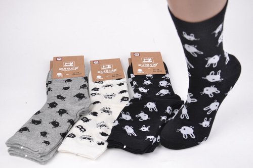 Жіночі шкарпетки з малюнком "Cotton" (Арт. NP5050) | 30 пар