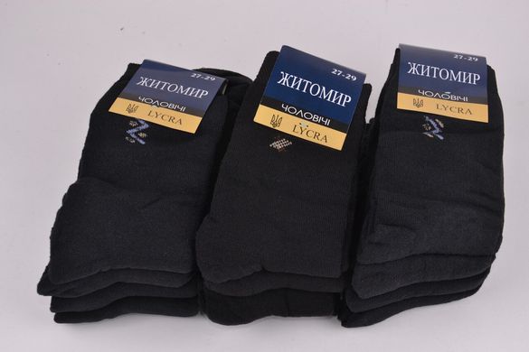 Чоловічі шкарпетки Махра бавовна (Y031/4) | 12 пар