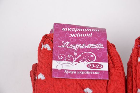 Махрові шкарпетки "Житомир" (Арт. OK054/4) | 12 пар
