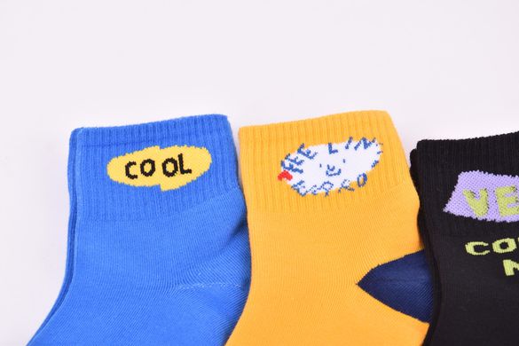 Шкарпетки дитячі на хлопчика "Nicen" ХЛОПОК (Арт. Y076-10/7-9) | 10 пар