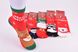 Шкарпетки дитячі Merry Christmas "AURA" COTTON (Арт. SGP7822/32-35) | 5 пар