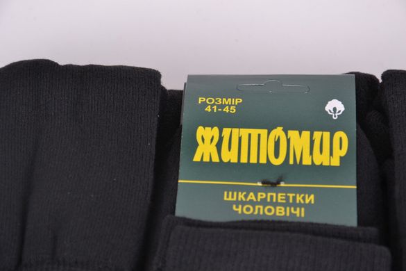 Чоловічі махрові шкарпетки "ЖИТОМИР" (арт. TK999) | 12 пар