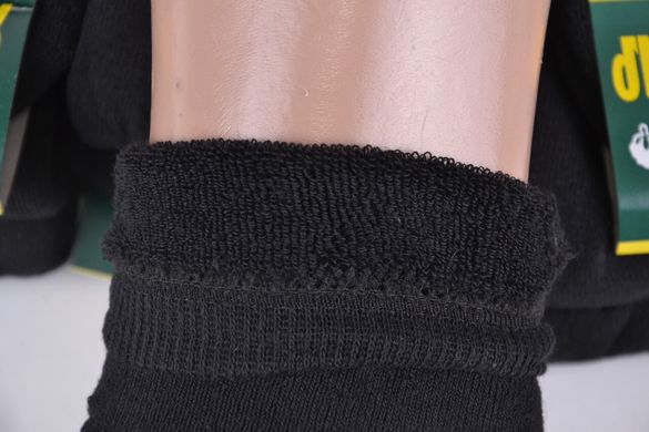 Чоловічі махрові шкарпетки "ЖИТОМИР" (арт. TK999) | 12 пар