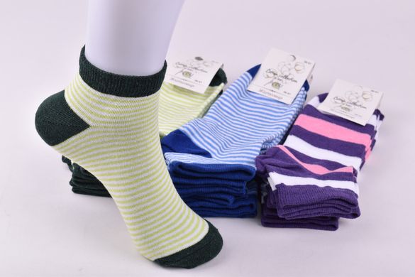 Шкарпетки жіночі "ЖИТОМИР" бавовна (Арт. OAM402) | 12 пар