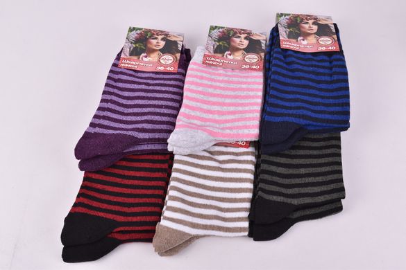 Шкарпетки жіночі в смужку бавовна (Арт. PT122) | 12 пар