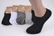 Женские носки заниженные "AURA" Cotton (Арт. NDX3380) | 30 пар