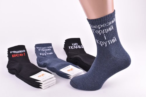 Шкарпетки чоловічі з написом "Житомир" ХЛОПОК (Арт. AK910) | 12 пар