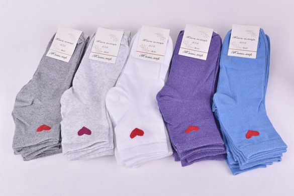 Шкарпетки жіночі "Житомир" ХЛОПОК (Арт.OAM434) | 12 пар