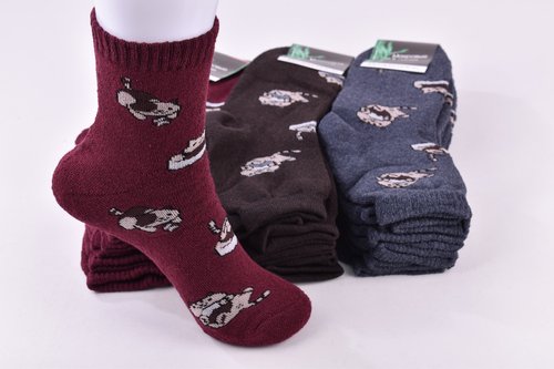 Шкарпетки жіночі махрові БАМБУК (Арт. OAM213) | 12 пар