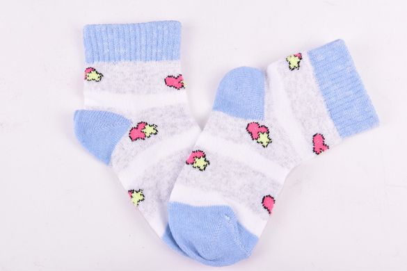 Шкарпетки дитячі "Житомир" ХЛОПОК (Арт. OAM352/10-12) | 12 пар