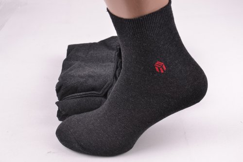 Чоловічі шкарпетки "Житомир" ХЛОПОК (Арт. SL62/27) | 10 пар