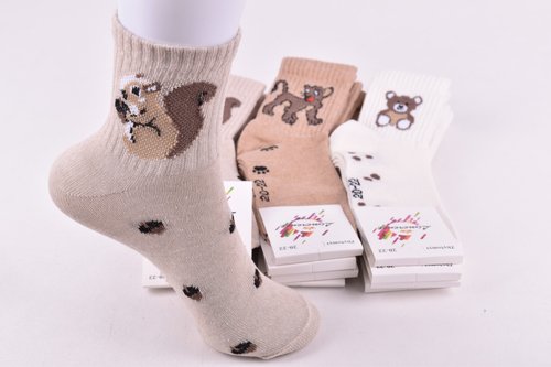 Шкарпетки дитячі "Житомир" COTTON (Арт. AK561/20-22) | 12 пар