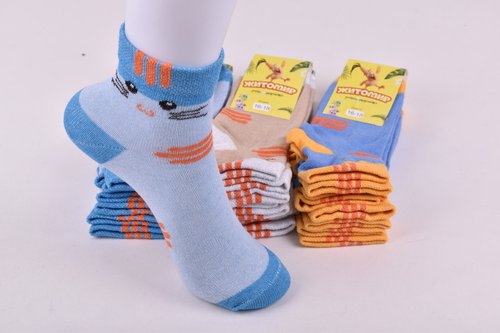 Шкарпетки дитячі з малюнком "Житомир" бавовна (Арт. OAM468/16-18) | 12 пар