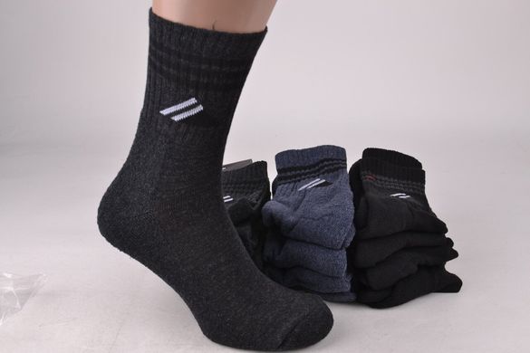 Шкарпетки чоловічі "ЖИТОМИР" Махрова стопа (Арт.OK207/1/25-27) | 12 пар
