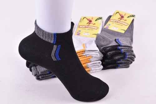 Шкарпетки дитячі "Житомир" бавовна (Арт. OAM351/16-18) | 12 пар