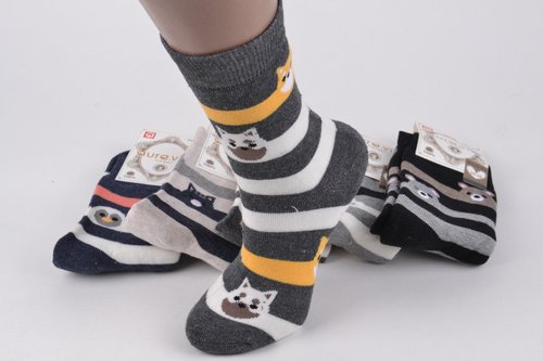 Жіночі шкарпетки з малюнком МАХРА Cotton (Арт. NV1328/35-38) | 5 пар
