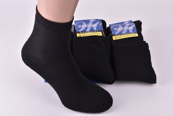 Чоловічі Махрові шкарпетки "ЖИТОМИР" (арт. ME401/12) | 12 пар