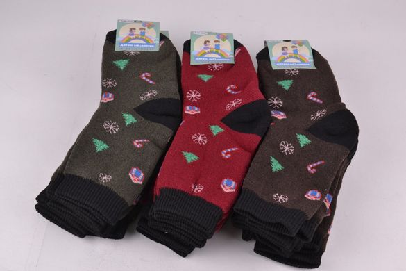 Дитячі шкарпетки "Житомир" МАХРА (OK102/2) | 12 пар
