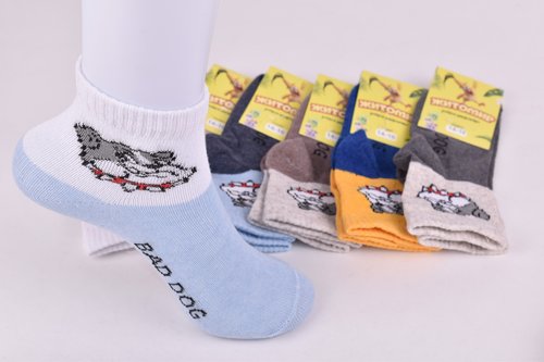Шкарпетки дитячі з малюнком "Житомир" бавовна (Арт. OAM472/14-16) | 12 пар