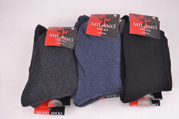 Чоловічі махрові шкарпетки "MILANO" (арт. ME401/8) | 12 пар