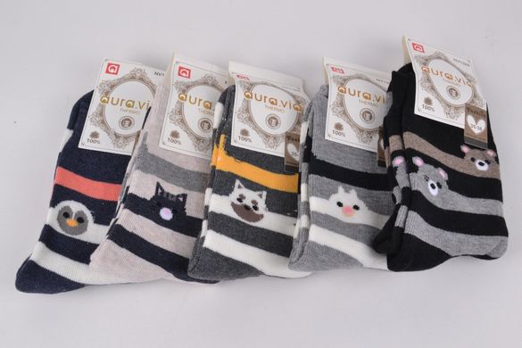 Жіночі шкарпетки з малюнком Махра "Cotton" (Арт. NV1328/38-41) | 5 пар