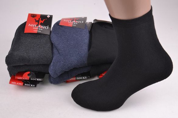 Мужские махровые носки "MILANO" (Арт. ME401/8) | 12 пар