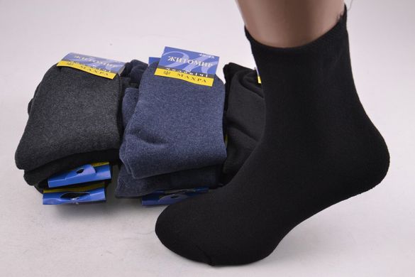 Чоловічі шкарпетки "Житомир" МАХРА (арт. ME401/13) | 12 пар