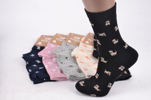 Шкарпетки жіночі "AURA" COTTON (Арт. NP6297) | 30 пар