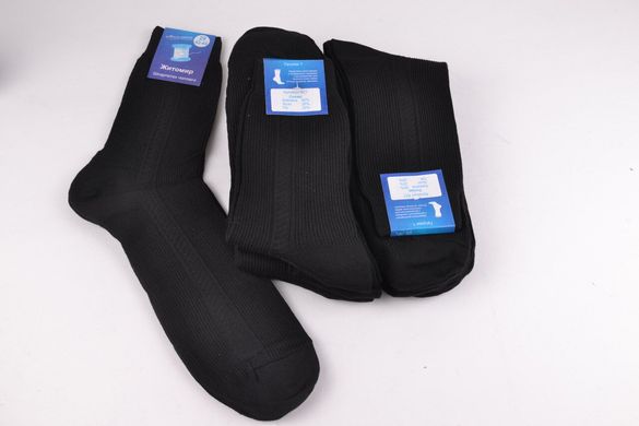 Чоловічі шкарпетки ХЛОПОК "Житомир" (Арт. SL68/29) | 10 пар