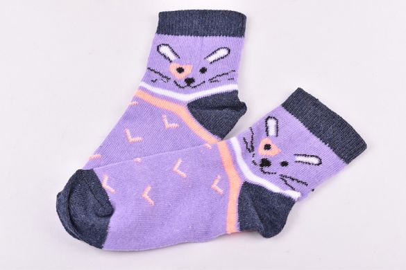 Шкарпетки дитячі на дівчинку "Житомир" бавовна (Арт. OAM406/14-16) | 12 пар