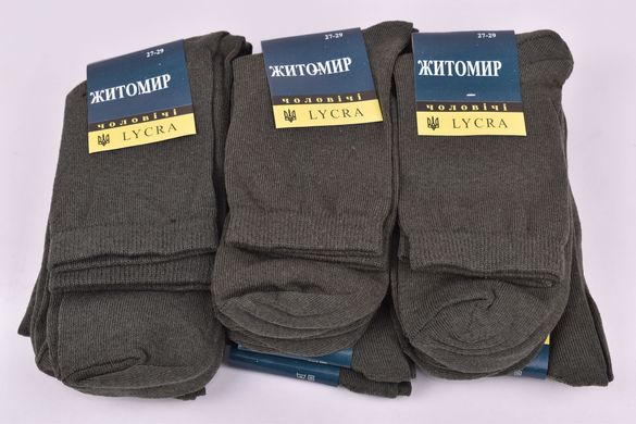 Шкарпетки чоловічі "Житомир" бавовна (Арт. OAM561) | 12 пар