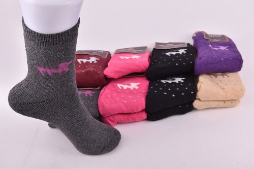 Шкарпетки жіночі "Фенна" Махра бавовна (Арт. FEB706-3) | 12 пар