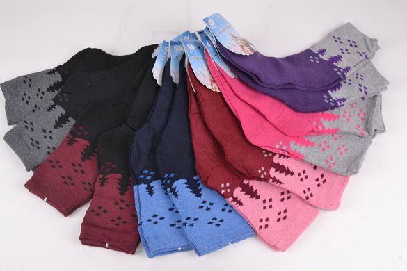 Жіночі Термо-шкарпетки "МАХРА" (Арт. HB18) | 12 пар