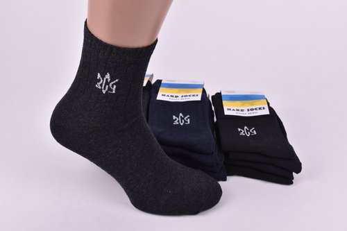 Шкарпетки чоловічі бавовна (Арт.ME31126) | 12 пар