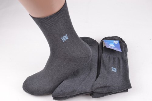 Чоловічі шкарпетки "Житомир" ХЛОПОК (Арт. SL64/29) | 10 пар