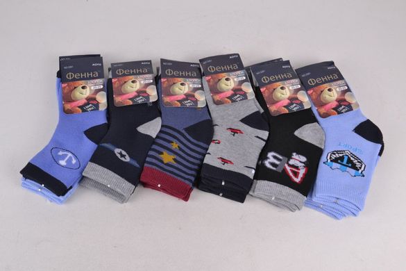 Дитячі шкарпетки на хлопчика МАХРА Бавовна (FE3351-2/30-35) 12 пар