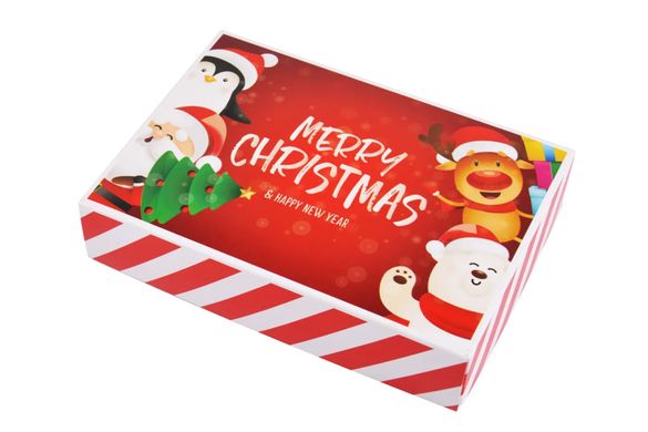 Носки женские "Merry Christmas" в подарочной упаковке (Aрт. Y107/2) | 1 компл.