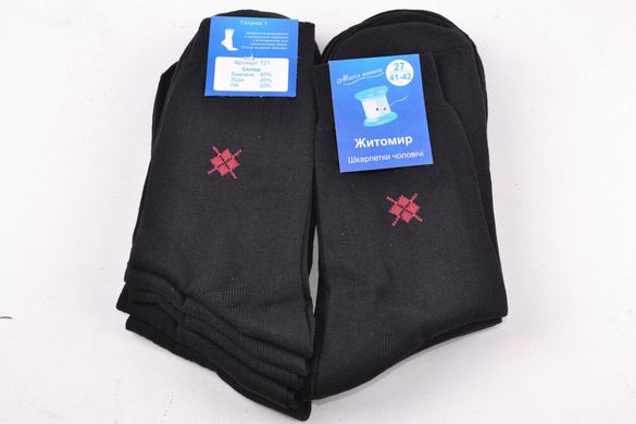 Чоловічі шкарпетки "Житомир" Х/Б (Арт. SL60/27) | 10 пар