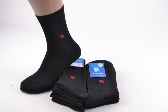 Чоловічі шкарпетки "Житомир" Х/Б (Арт. SL60/27) | 10 пар