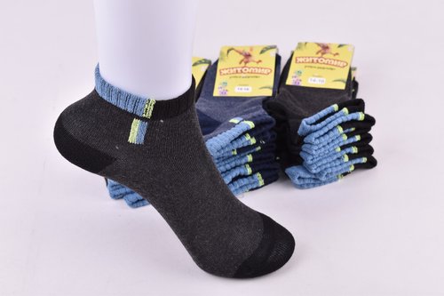 Шкарпетки дитячі на хлопчика "Житомир" бавовна (Арт. OAM351/14-16) | 12 пар