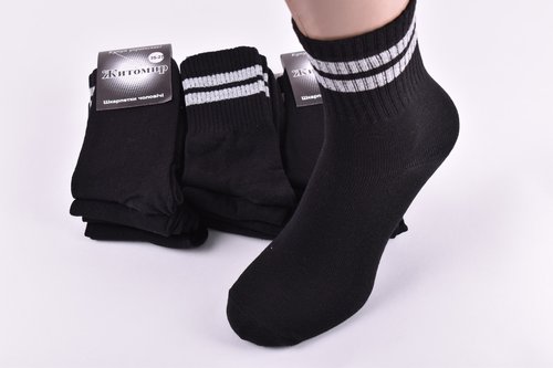 Шкарпетки чоловічі "Житомир" бавовна (Арт. OK201/29-31/BL) | 12 пар