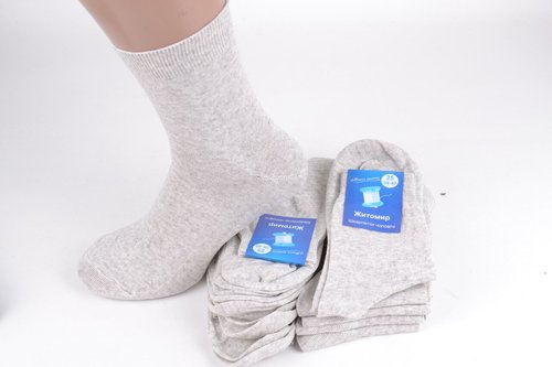 Мужские носки "Житомир" ЛЕН (Aрт. SL61/25) | 10 пар