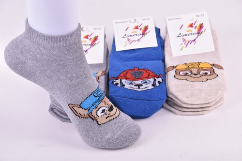 Шкарпетки дитячі занижені "Житомир" ХЛОПОК (Арт. AK533/16-18) | 12 пар