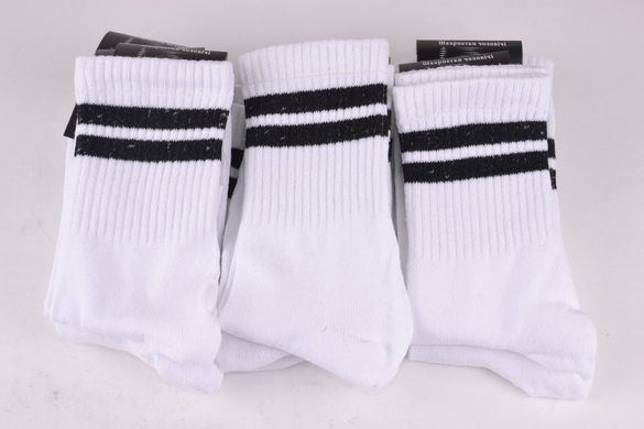 Чоловічі Бавовняні шкарпетки "Житомир" (Арт. OK201/27-29) | 12 пар