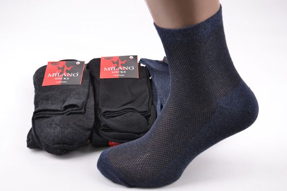 Шкарпетки чоловічі Бавовняні Сітка (Арт. ME11201/8) | 12 пар