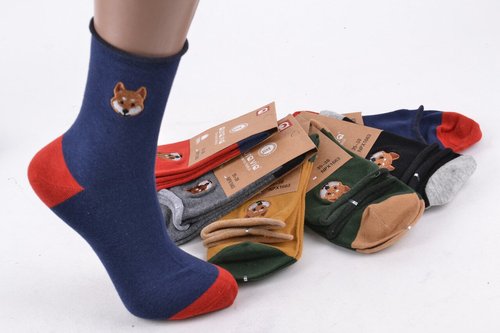Жіночі шкарпетки з вишивкою "Cotton" (Арт. NPX1663) | 30 пар