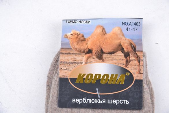 Мужские Термо носки Верблюжья ШЕРСТЬ (Арт. LKA1403-2) | 12 пар